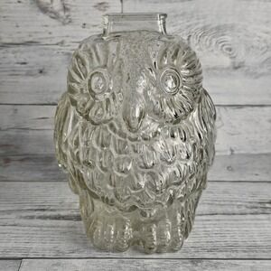 Vintage Wise Old Owl Figural Piggy Bank Clear Glass Mint Fun Novelty Collectible